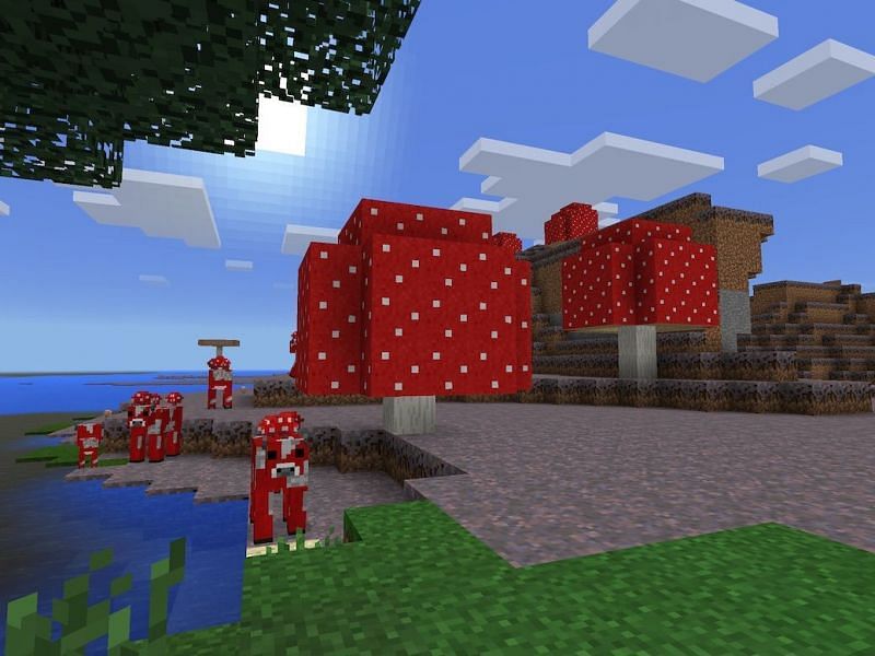 How To Grow Mushrooms In Minecraft