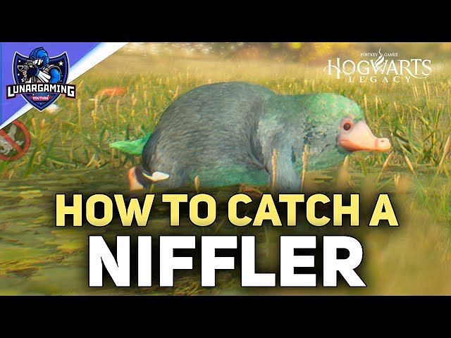 How To Find Nifflers And Obtain Niffler Fur In Hogwarts Legacy