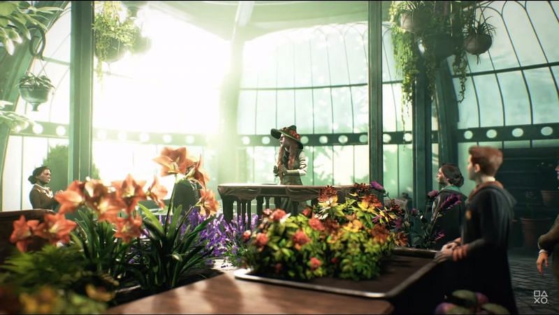 Herbology classes in Hogwarts in &#039;Hogwarts Legacy&#039; (Image Credits: PlayStation/YT)