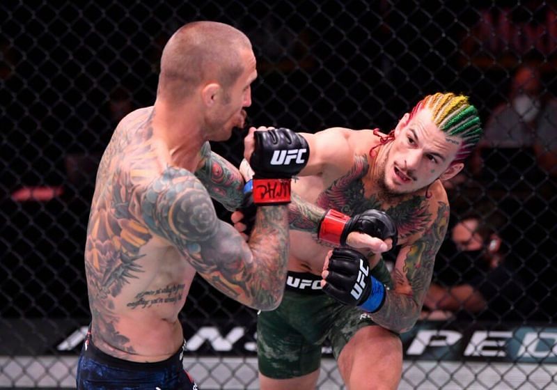 Sean O&#039;Malley has become a major UFC star since his appearance on Dana White&#039;s Contender Series