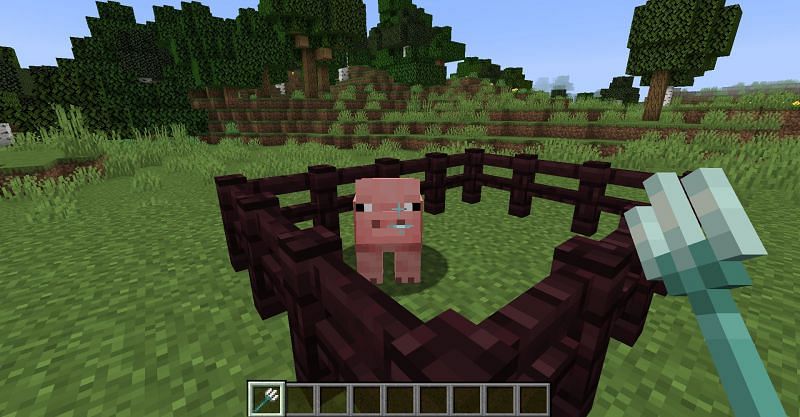 A pig in-game (Image via Minecraft)