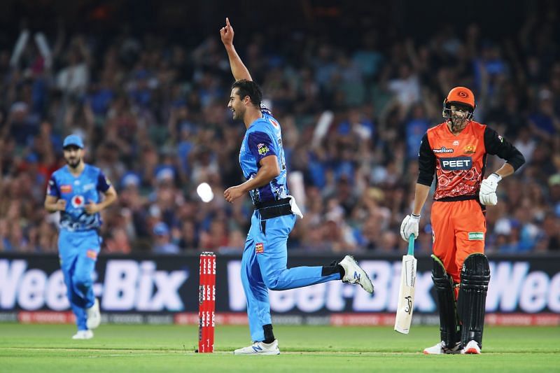 Wes Agar is seen celebrating the fall of a Perth Scorchers wicket in BBL