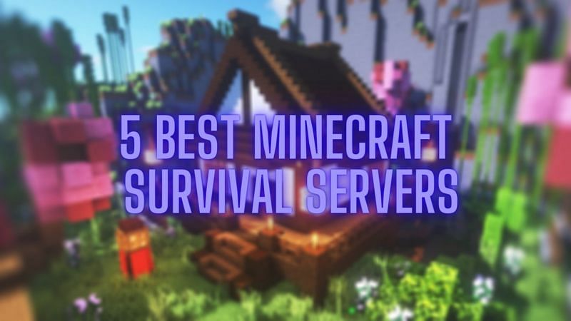 The best Minecraft Survival servers