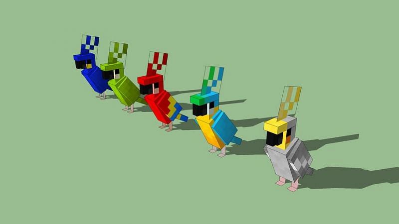 Minecraft Parrots