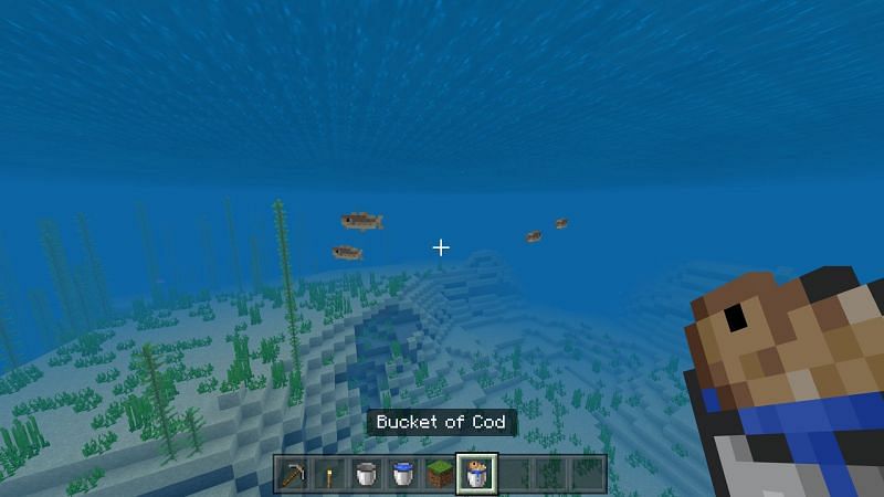 Using a bucket to make an aquarium in Minecraft