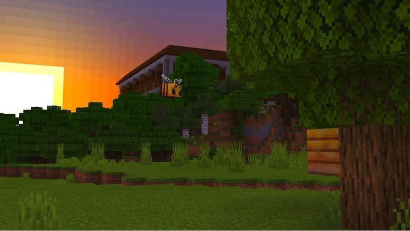 A picturesque view of a woodland mansion in Minecraft during a sunrise. (Image via Minecraft &amp; Chill/YouTube)