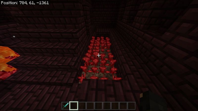 Room with red fungus and staircase in Minecraft