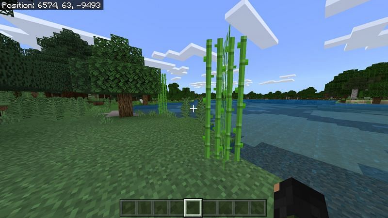Sugarcane in Minecraft