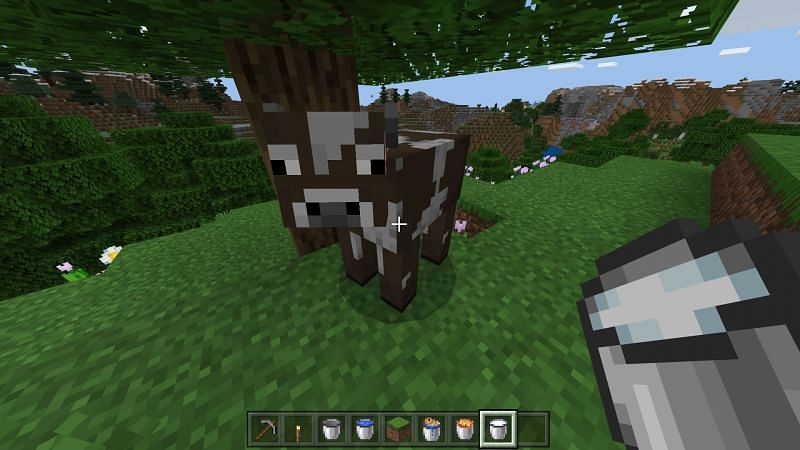 using a bucket to milk a cow in minecraft