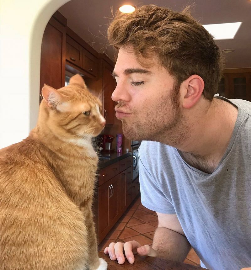 What did Shane Dawson do to his cat? YouTuber's alleged sexual act