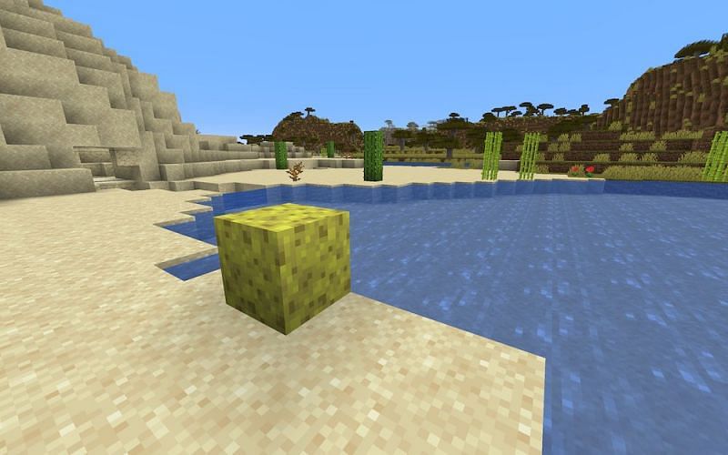 How To Craft Sponges In Minecraft 