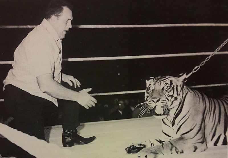 Stu Hart and a tiger