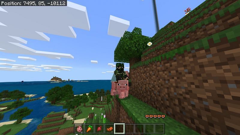 Riding a minecraft pig