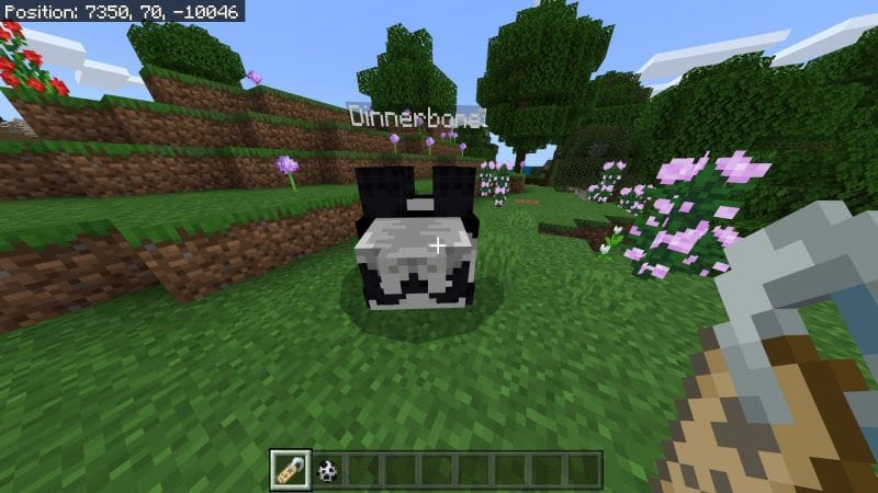 Minecraft Name Wiki Guide All You Need To Know Minecraft Name Wiki Guide All You Need To Know