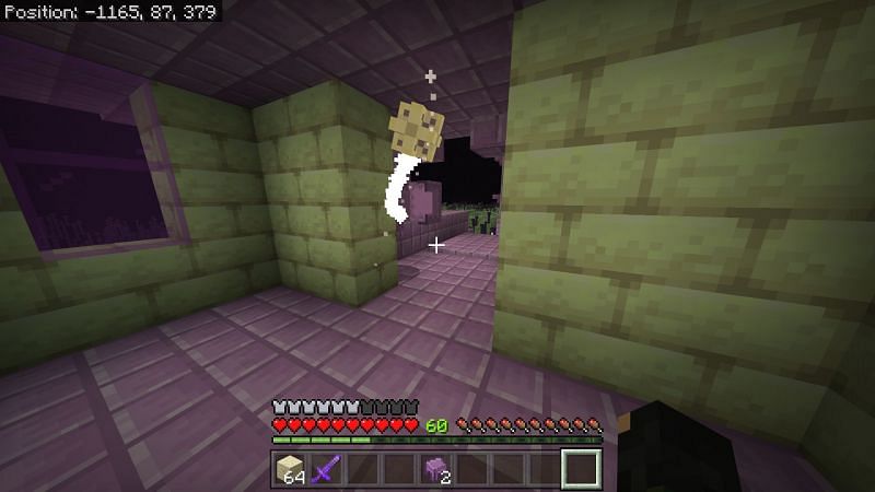 Killing a Shulkers in Minecraft