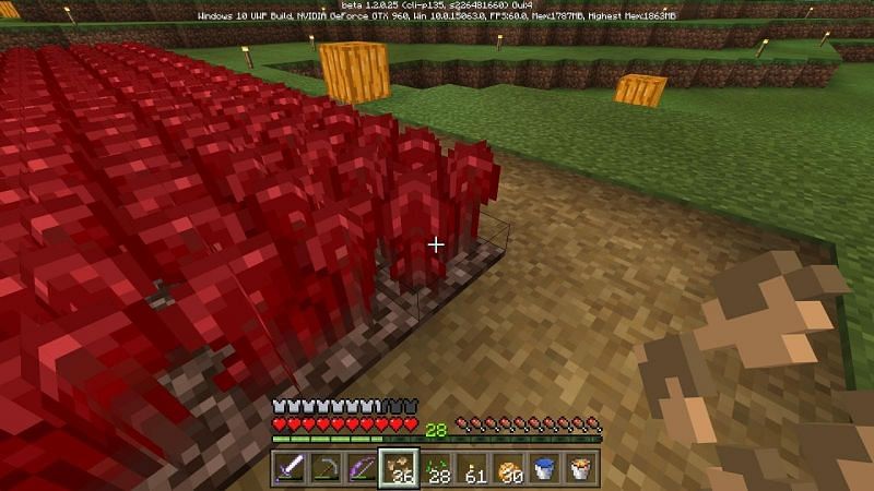 Plant the Nether warts