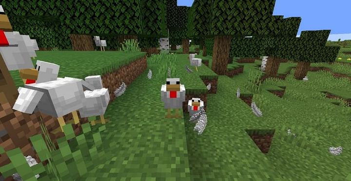 Top 5 uses for feathers in Minecraft