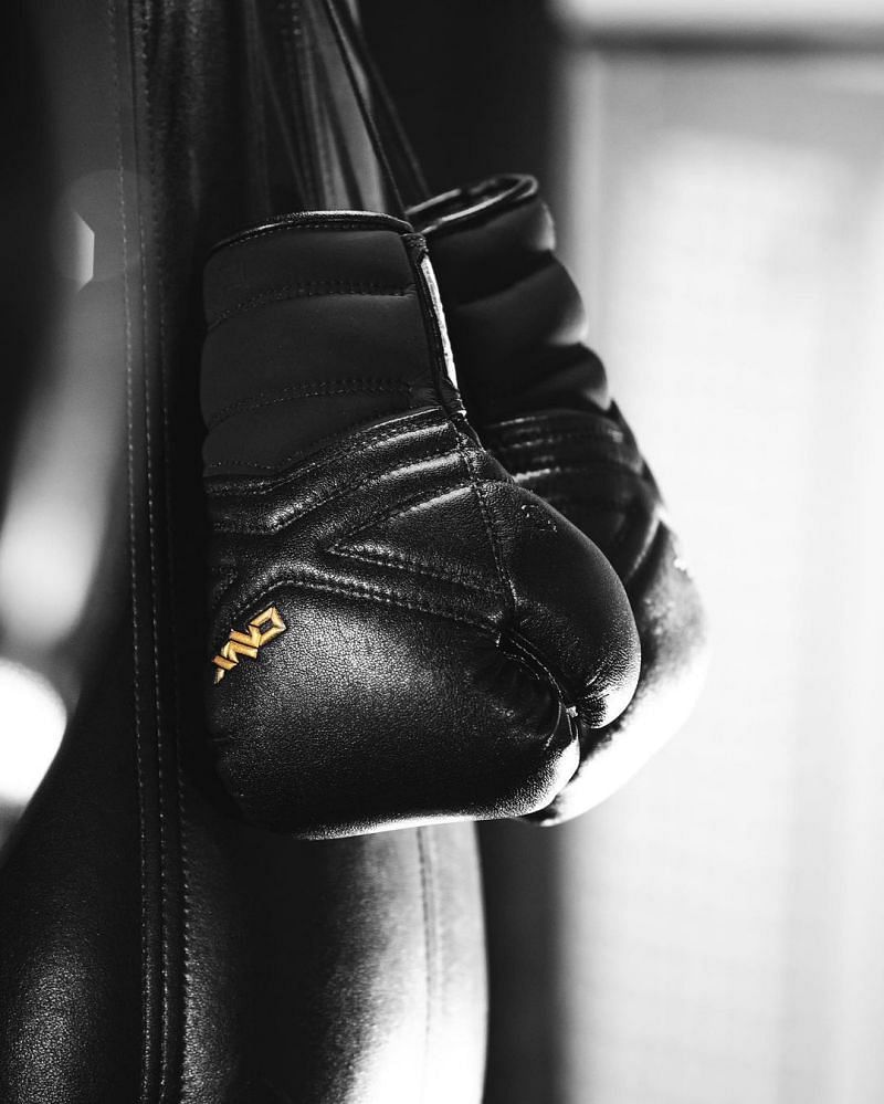 mma gloves trevor wittman