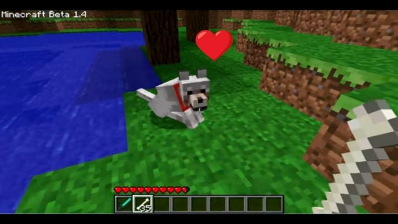 Wolves can spawn in a variety of places in Minecraft (Image via Capp00 on YouTube)