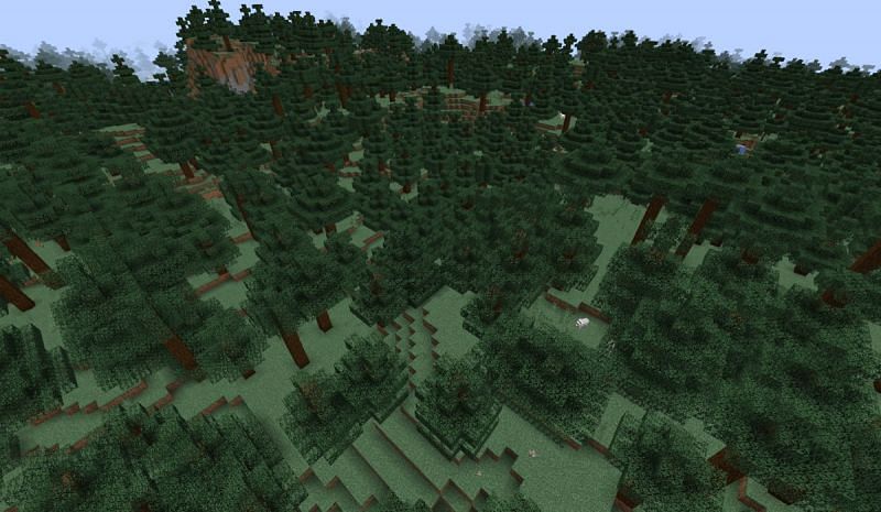 Wolves spawn in every forest biome except for the flower forest (Image via Minecraft)