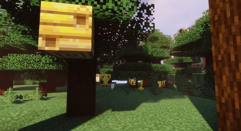 Bees in Minecraft: Everything players need to know