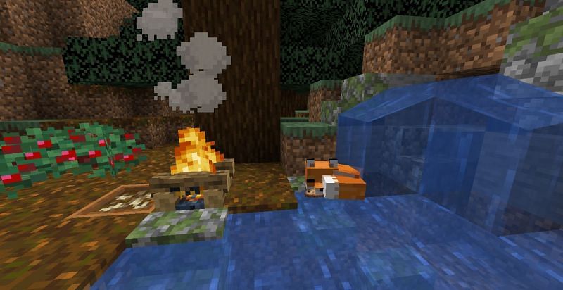 Where to find and tame foxes in Minecraft?