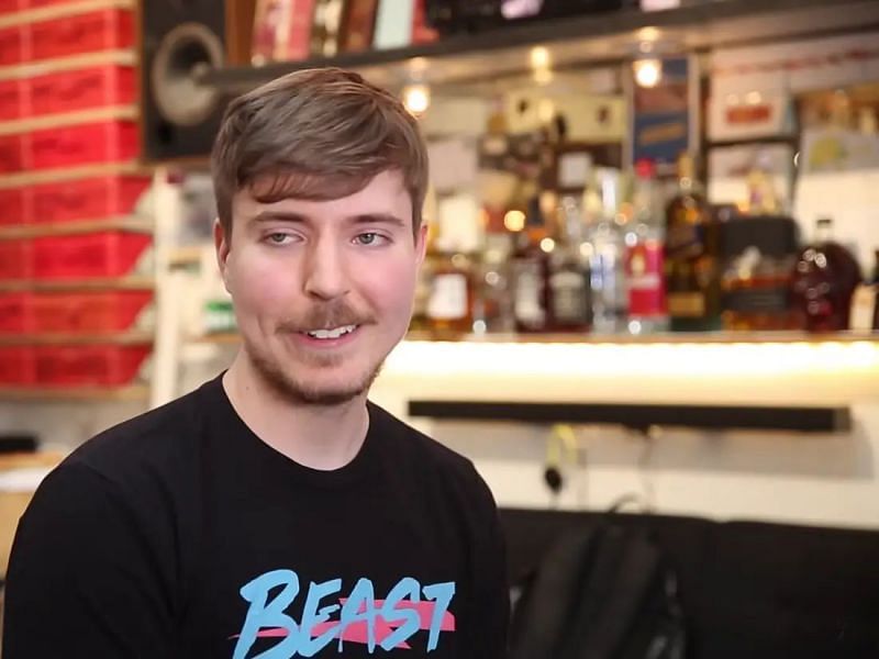 Mr.Beast's Net Worth Mr.Beast's Intro, Total Earnings , Expenses!