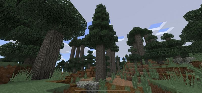 Wolves can be found in the giant tree taiga biome (Image via Reddit)