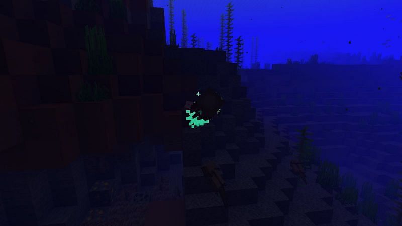 Glow Squid Minecraft Spawning Behavior Drops Trivia And More