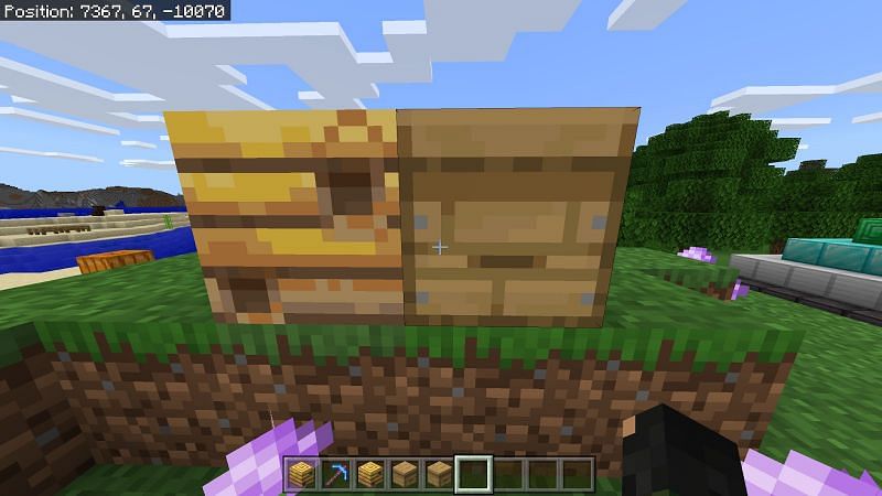 How to Get Honey in Minecraft