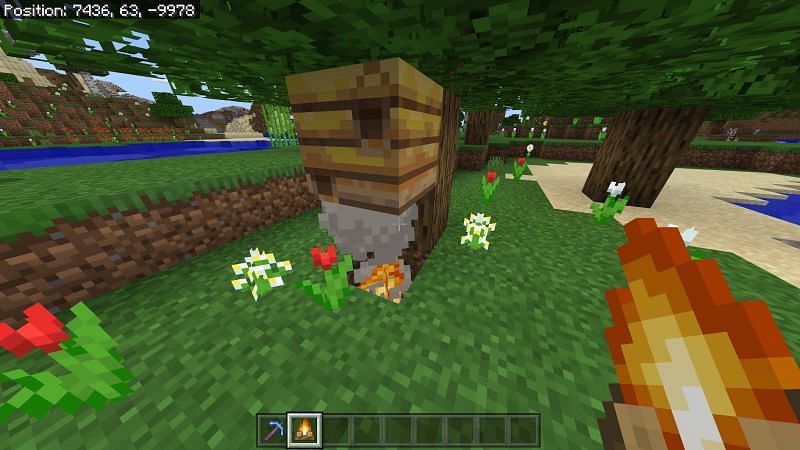 Steps to get honey in Minecraft