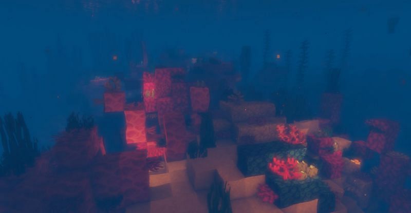 Shown: The beautiful Warm Ocean biome (Image via Minecraft)