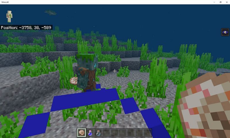 What Does The Nautilus Shell Do In Minecraft Nautilus Shell in Minecraft: Everything players need to know