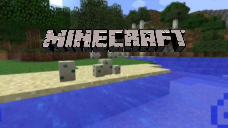 Key facts and information about Turtle eggs in Minecraft