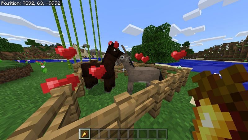 Spawning of Mules in Minecraft