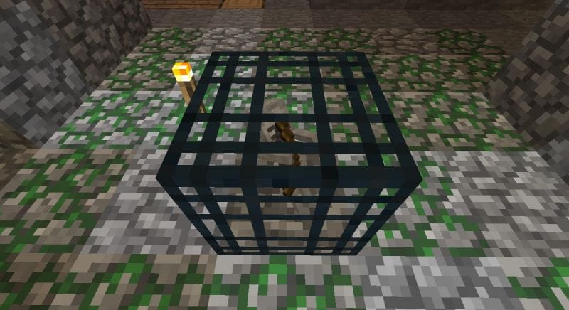 Single skeleton spawner (Image via theeyesofafemalegamer)