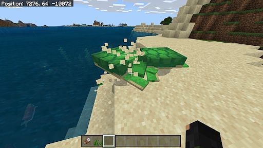 Breathing underwater using turtle helmet Minecraft