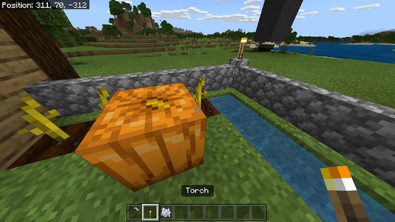 Growing pumpkins in Minecraft