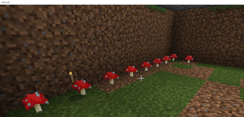 Mushroom farm ready