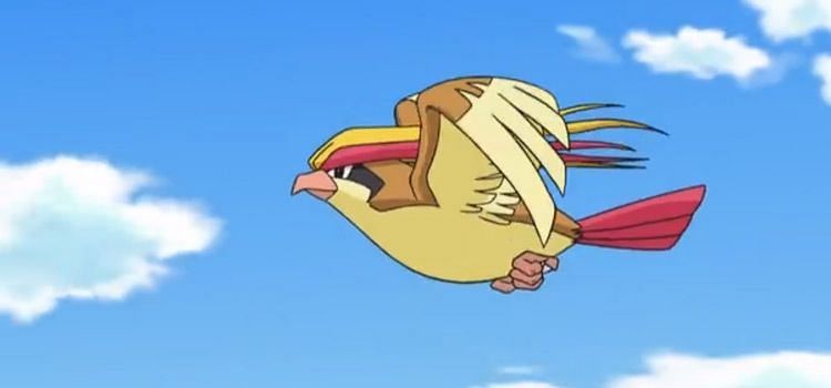 Pidgeot in the anime (Image via The Pokemon Company)