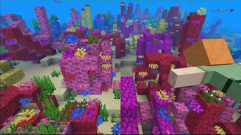 5 Best Minecraft Java Ocean Seeds In 2021