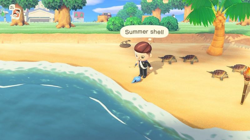 Summer shell in Animal Crossing. Image via Nintendo Life