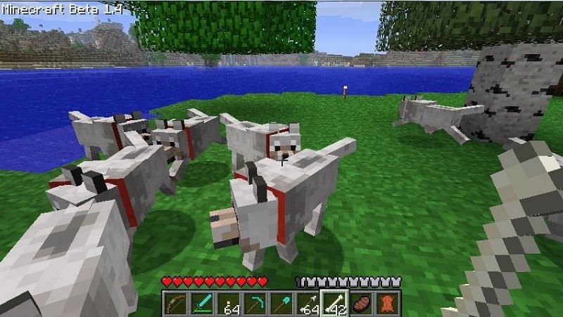 top-5-pet-mobs-in-minecraft