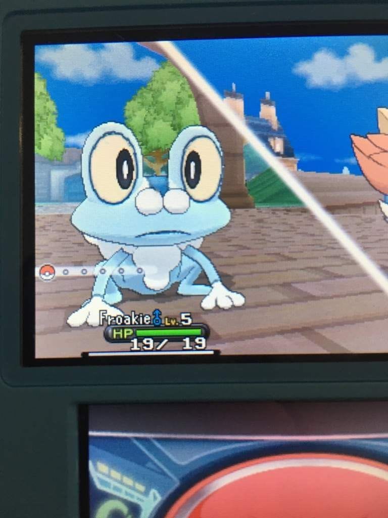 Froakie Pokémon: How to Catch, Moves, Pokedex & More