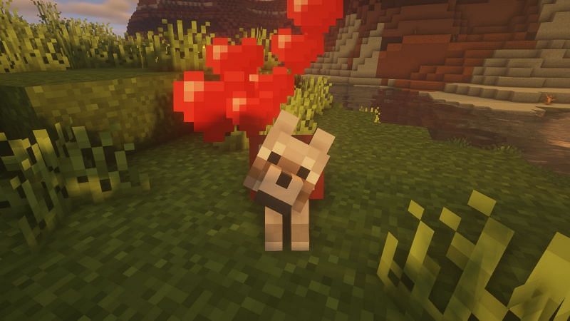 Top 5 easiest mobs to breed in Minecraft