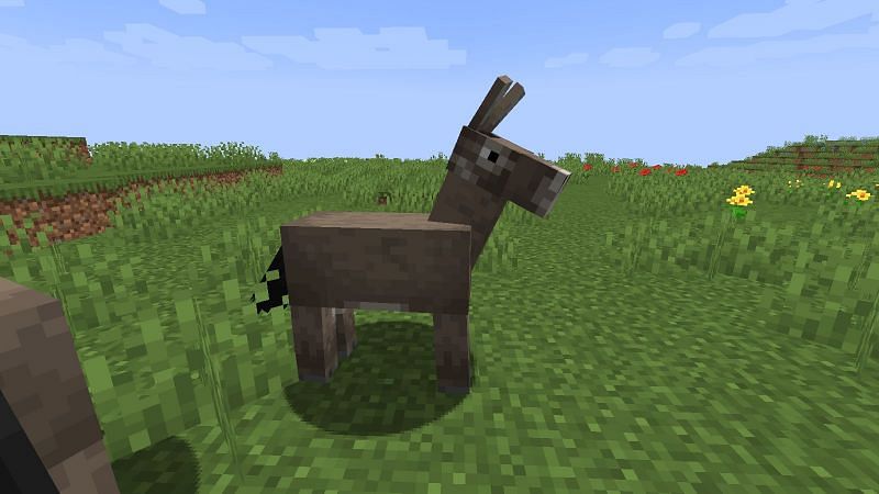 List Of Tameable Mobs In Minecraft 1.17 Caves & Cliffs Update