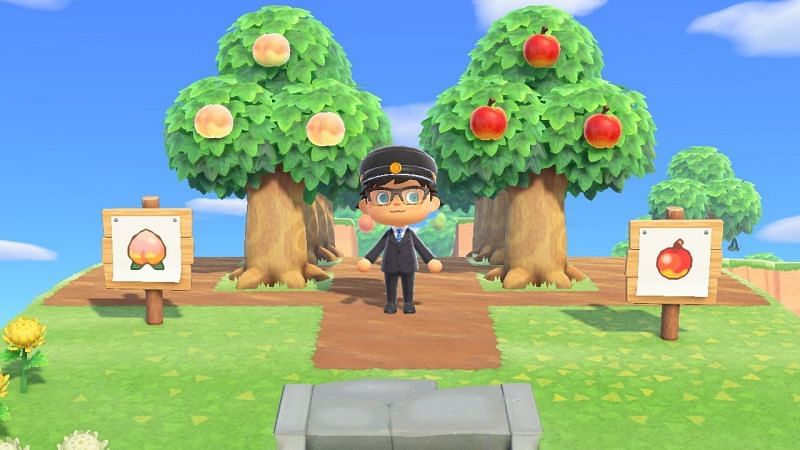 Animal Crossing: Redditor builds crazy fruit tree path to island home