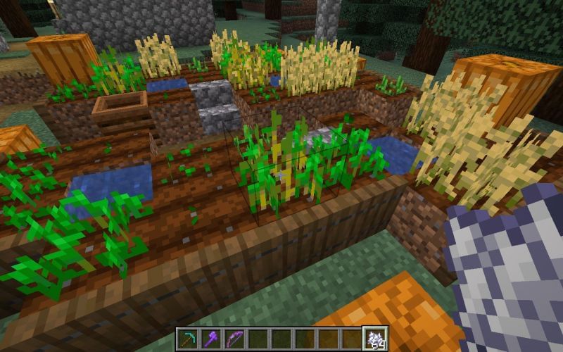 3 best uses of fossils in Minecraft