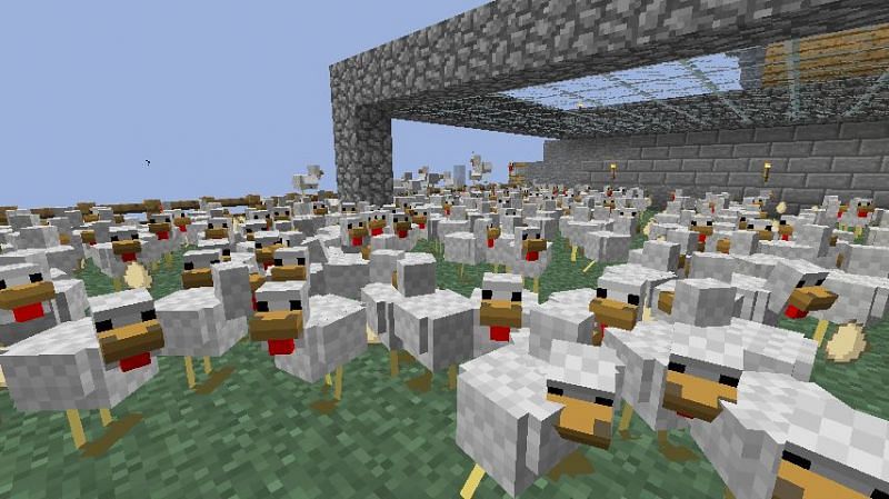 A massive army of derpy looking chickens (Image via DeviantArt)