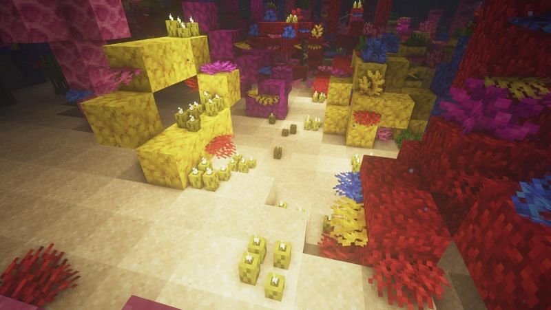 Coral Reef in Minecraft: Everything players need to know